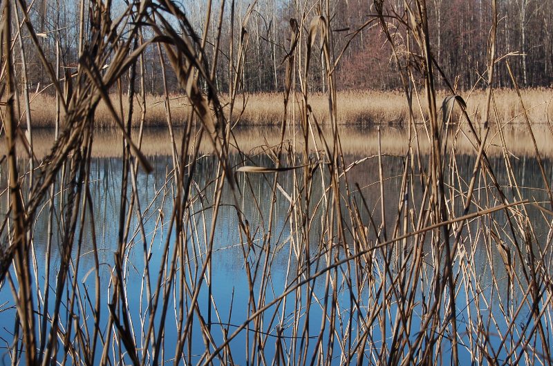 Lago termale di Pr di Lama.